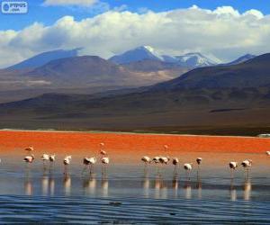 yapboz Laguna Colorada, Bolivya